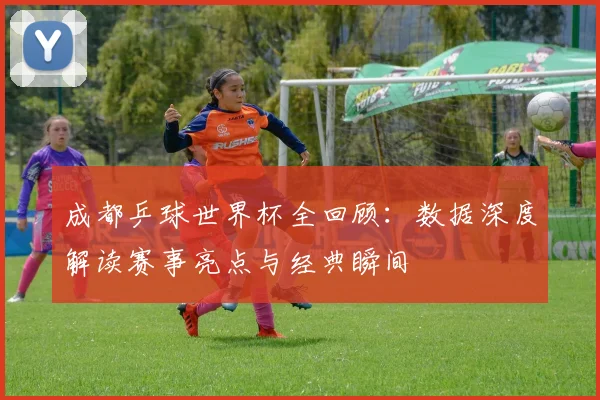 成都乒球世界杯全回顾：数据深度解读赛事亮点与经典瞬间